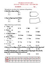 Đề khảo sát môn Toán Lớp 3 - Tuần 9+10 - Trường TH Xuân Thượng